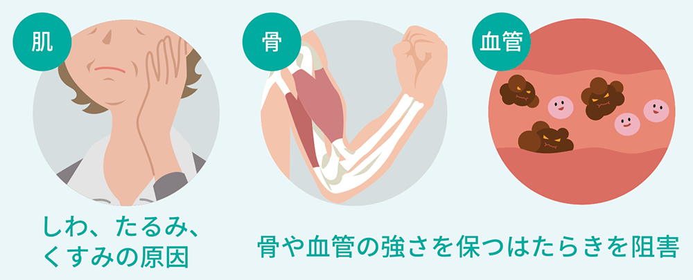 AGEsが蓄積すると色々な不具合が生じます